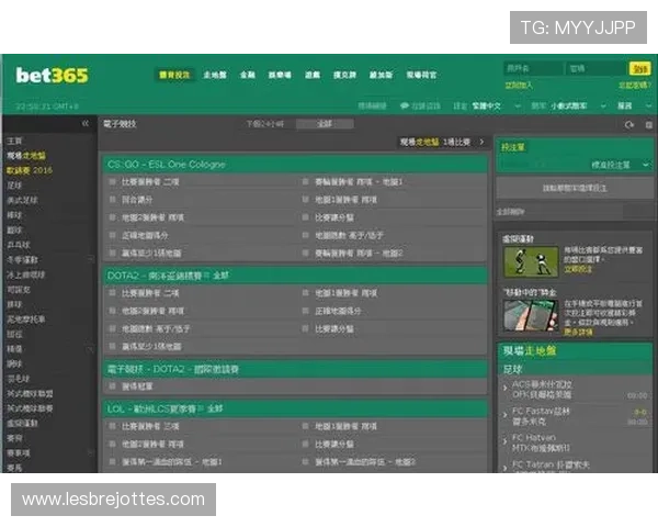 全面解析ag盘口网站的优势与风险，帮助玩家选择正规合法的游戏平台