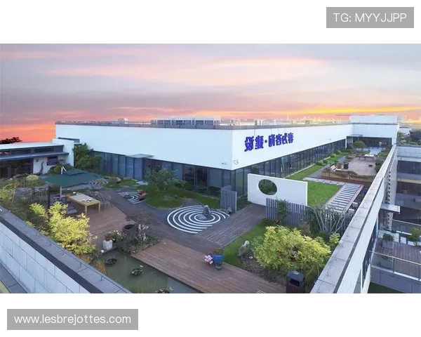 关于PA视讯集团网站的全面介绍与最新动态，助你掌握行业发展趋势