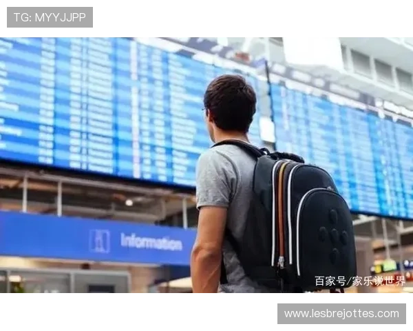 网络版的百家家乐网站如何选择正规平台保障玩家权益与资金安全